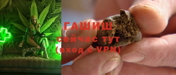 МДПВ Пересвет