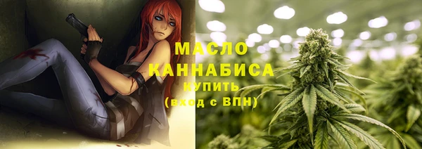МДПВ Пересвет