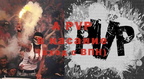МДПВ Пересвет