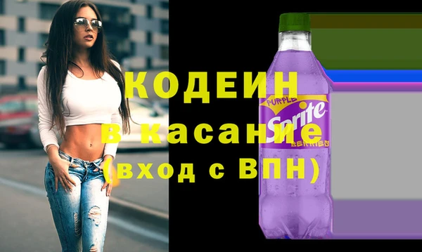 МДПВ Пересвет
