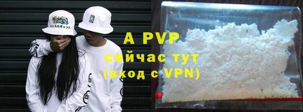 МДПВ Пересвет