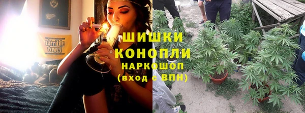 МДПВ Пересвет