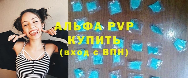 МДПВ Пересвет