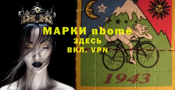 МДПВ Пересвет