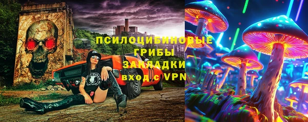 МДПВ Пересвет