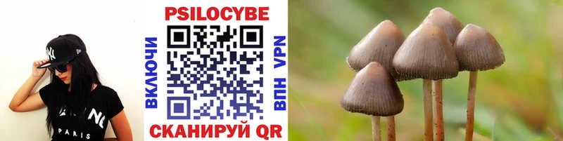 Купить  Заволжье  Псилоцибиновые грибы GOLDEN TEACHER 